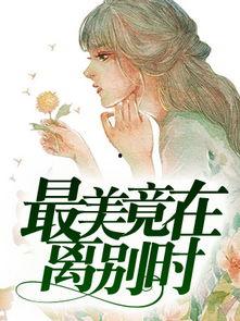 别离吃瓜小说免费阅读,一场离奇事件的免费阅读之旅